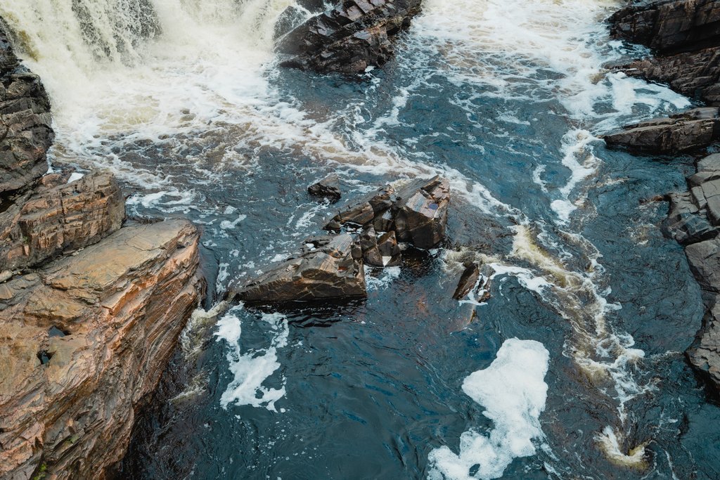 gallery-photo