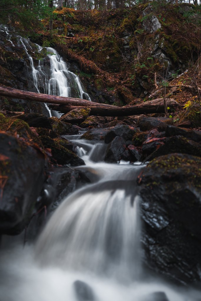 gallery-photo